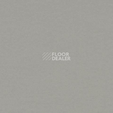 Линолеум Forbo Marmoleum Solid Walton 3371 cement фото 1 | FLOORDEALER